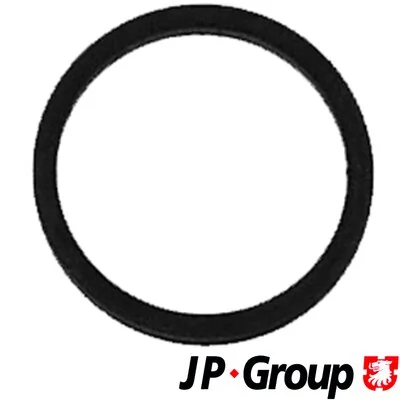 Seal Ring, injector